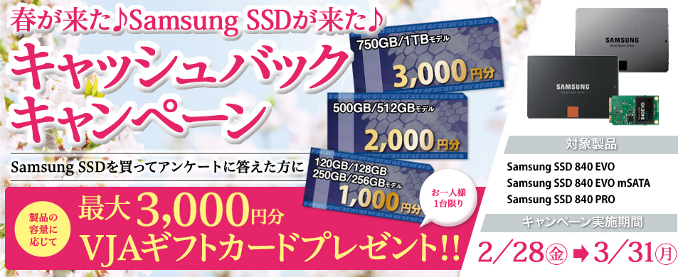 「Samsung SSD 840 EVO/EVO mSATA/PRO購入者対象 春が来た♪Samsung SSDが来た♪キャッシュバック キャンペーン」を開催。※本キャンペーンは終了しました image