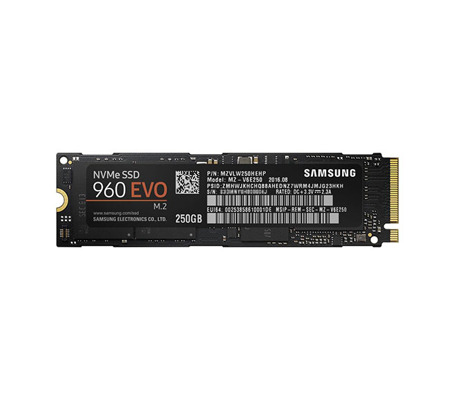 SSD960EVOM2