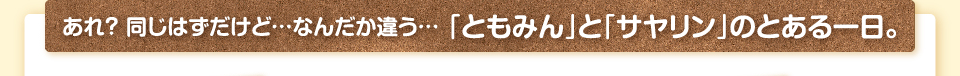 あれ？ 同じはずだけど…なんだか違う… 「ともみん」と「サヤリン」のとある一日。